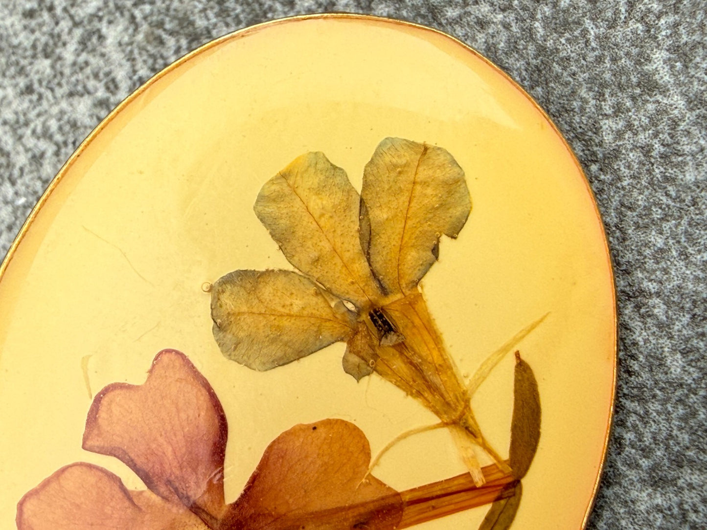 Vintage Pressed Flowers Brooch Gold Tone Oval Pin Dried Botanical Floral Natural