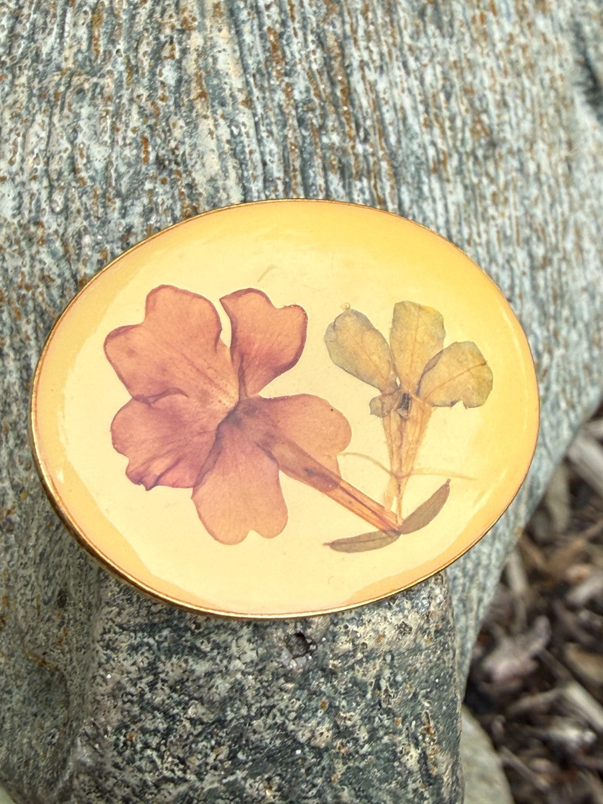 Vintage Pressed Flowers Brooch Gold Tone Oval Pin Dried Botanical Floral Natural