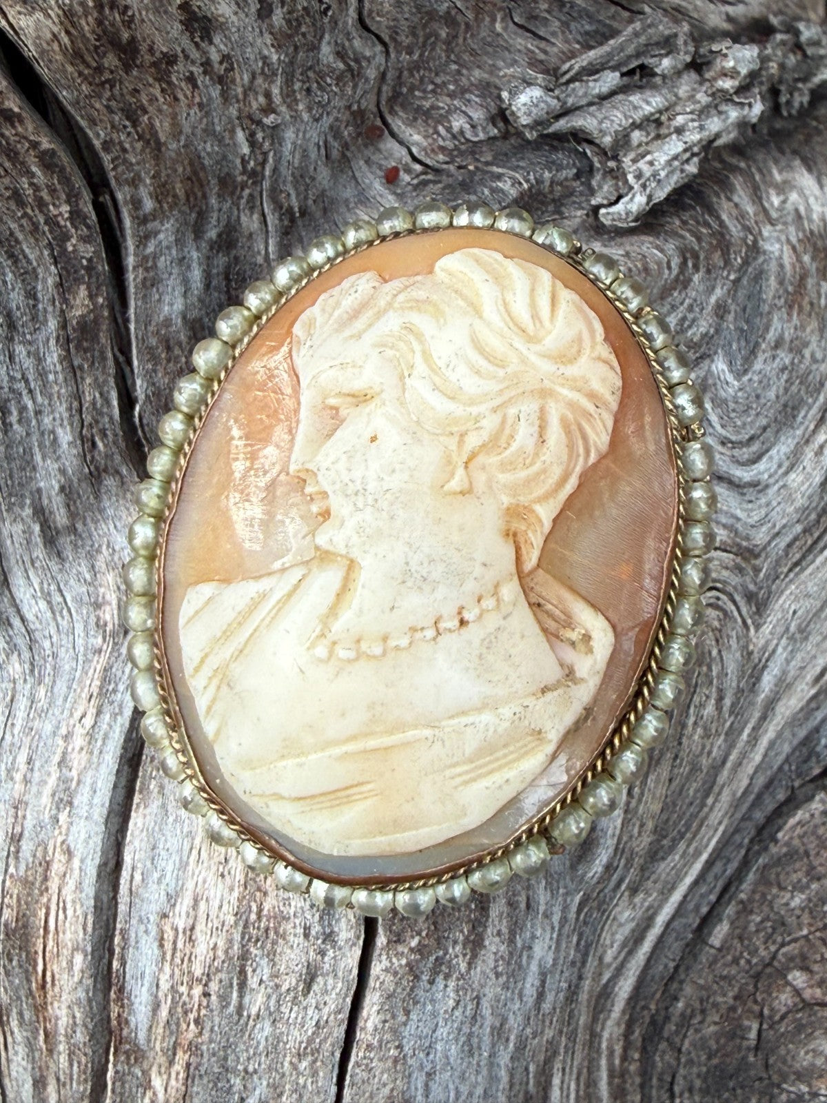 Vintage Gold Tone Shell Cameo Brooch Pin Lady Portrait Faux Seed Pearl Trim
