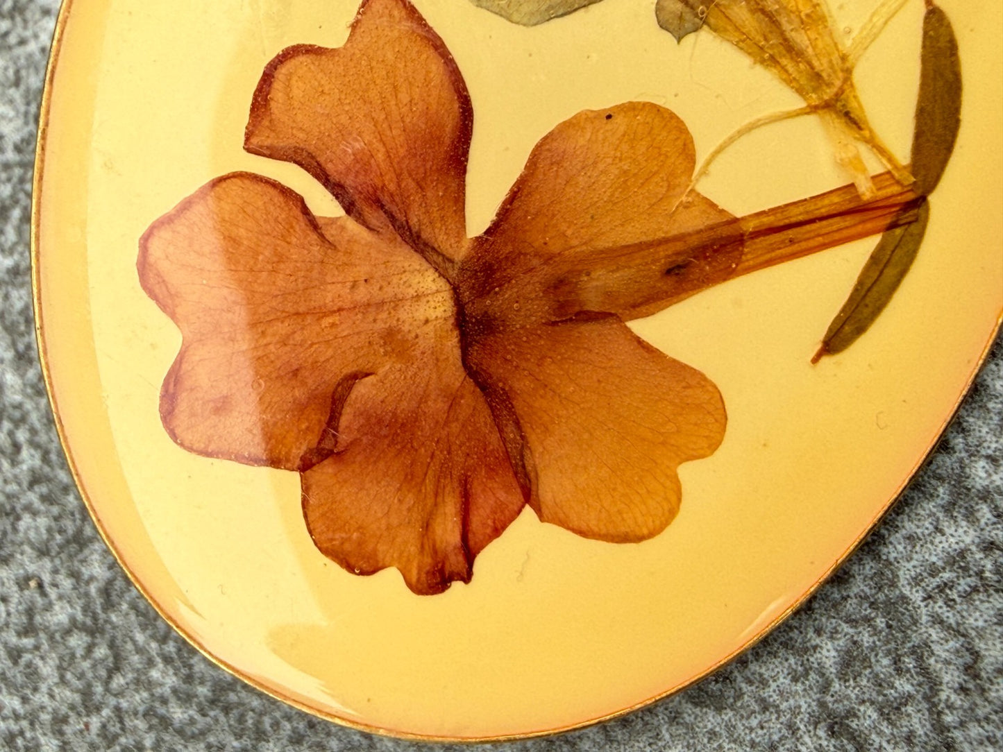 Vintage Pressed Flowers Brooch Gold Tone Oval Pin Dried Botanical Floral Natural