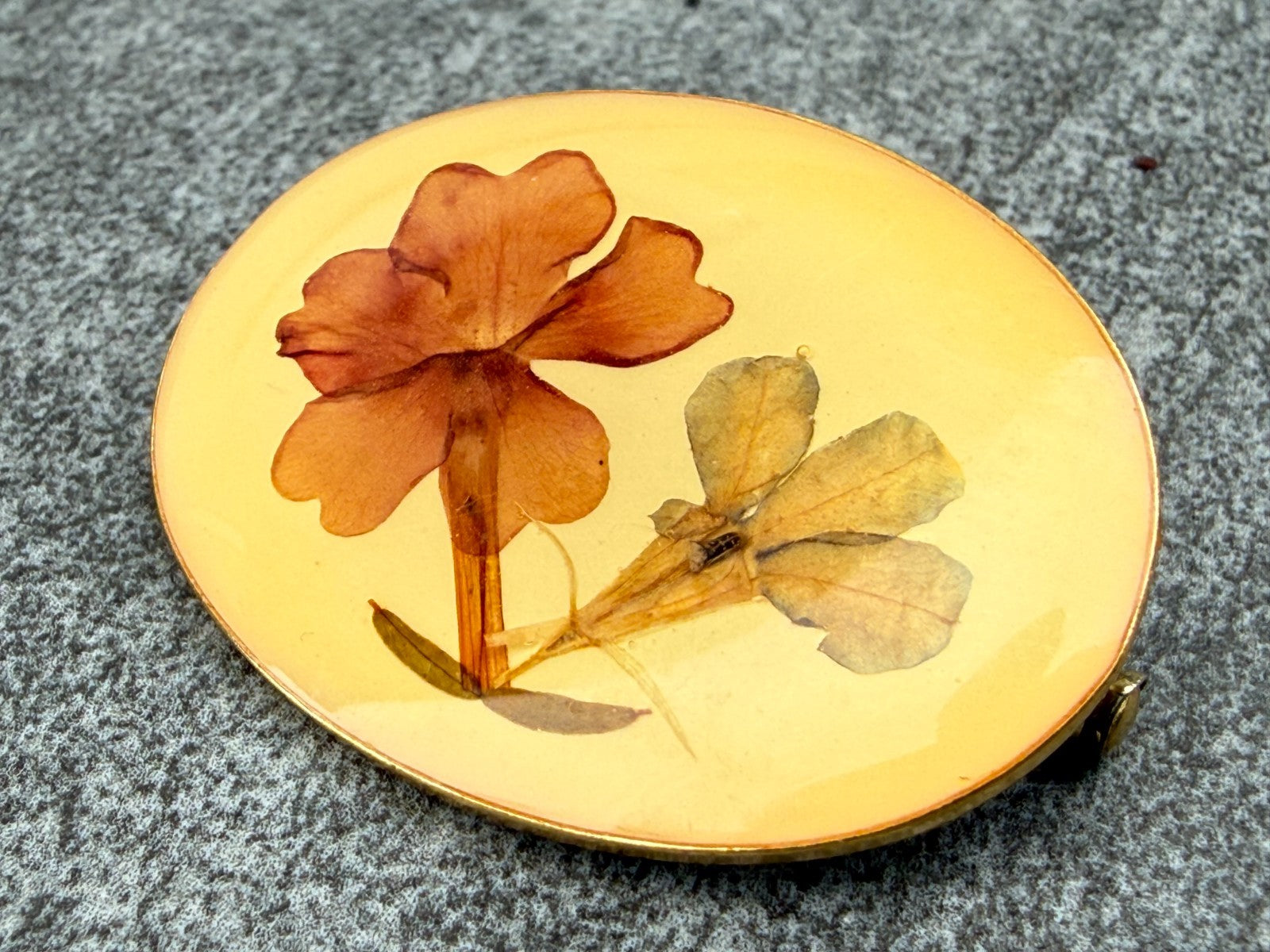 Vintage Pressed Flowers Brooch Gold Tone Oval Pin Dried Botanical Floral Natural