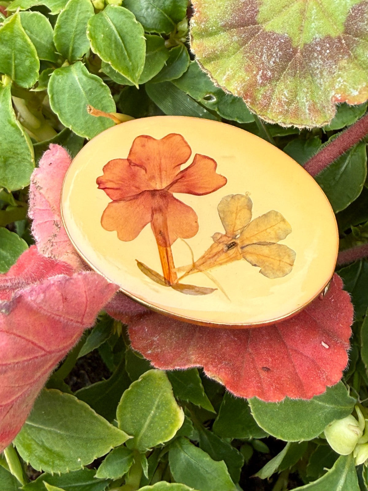 Vintage Pressed Flowers Brooch Gold Tone Oval Pin Dried Botanical Floral Natural