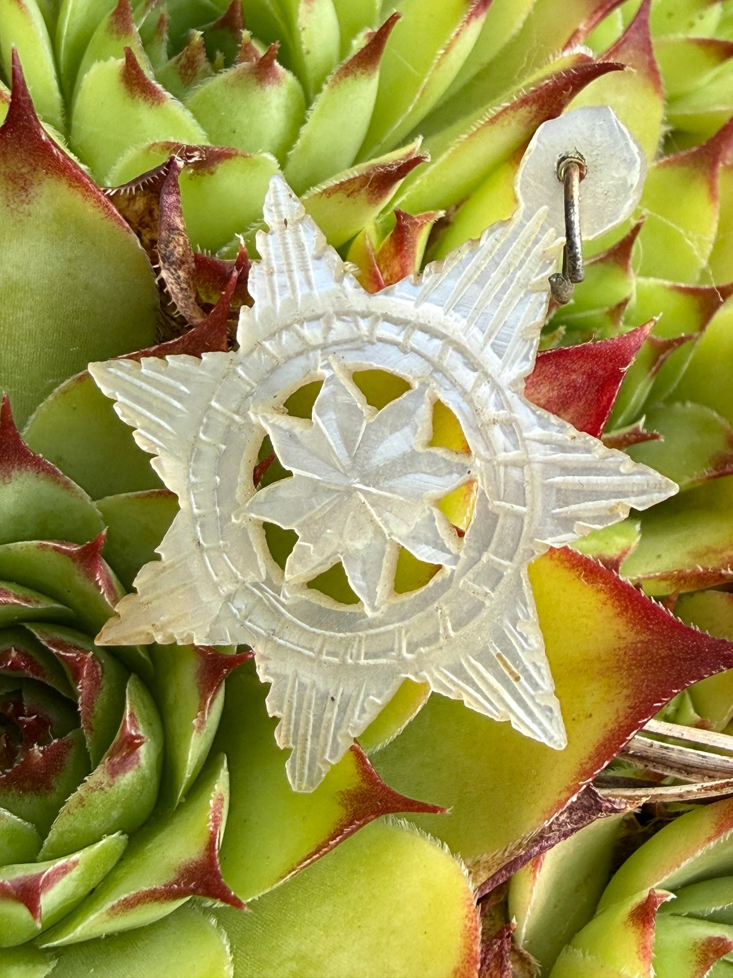 Vintage Mother of Pearl Star of Bethlehem Pendant