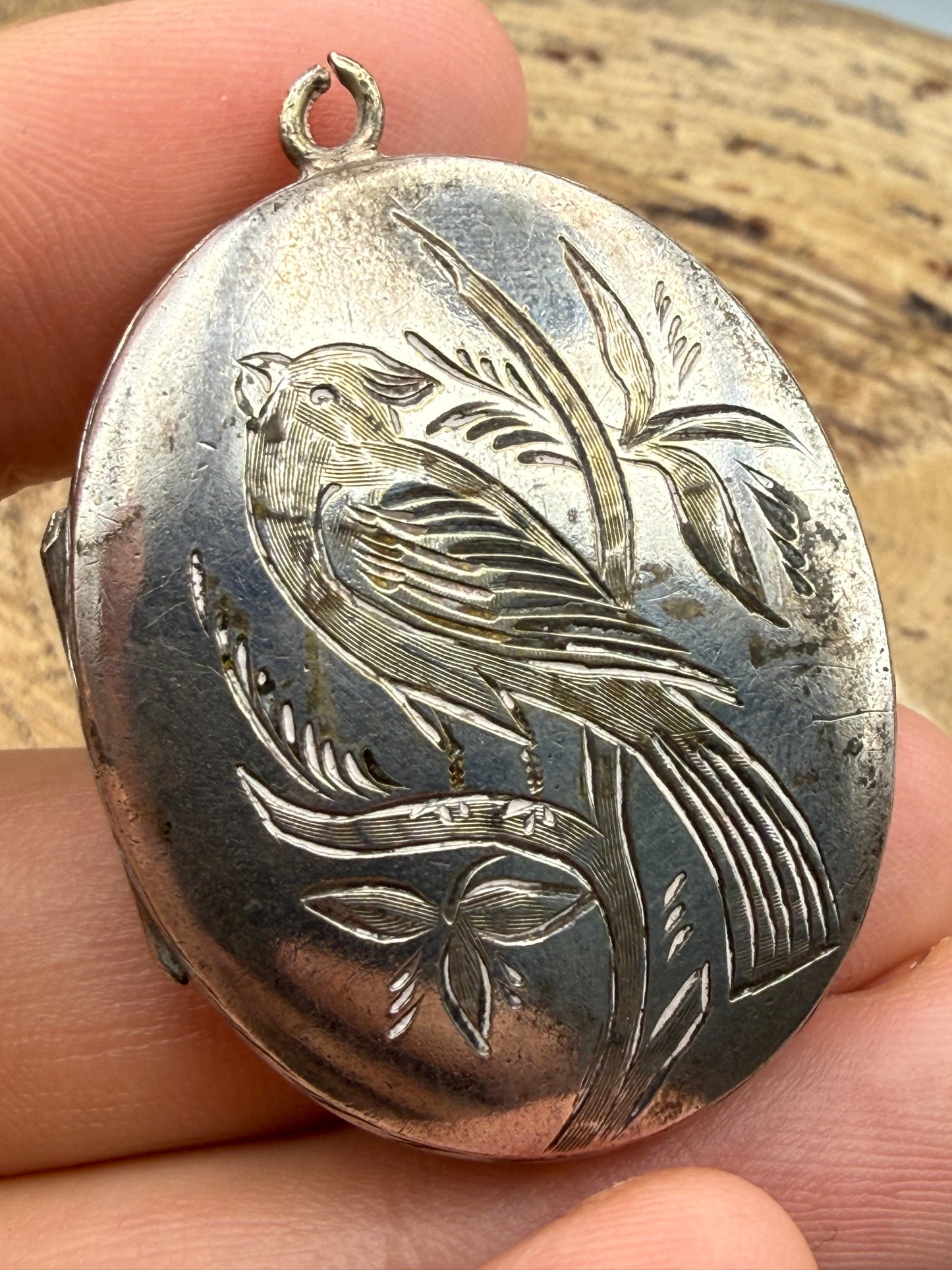 Victorian Aesthetic Movement Bird Locket, Double Sided Design