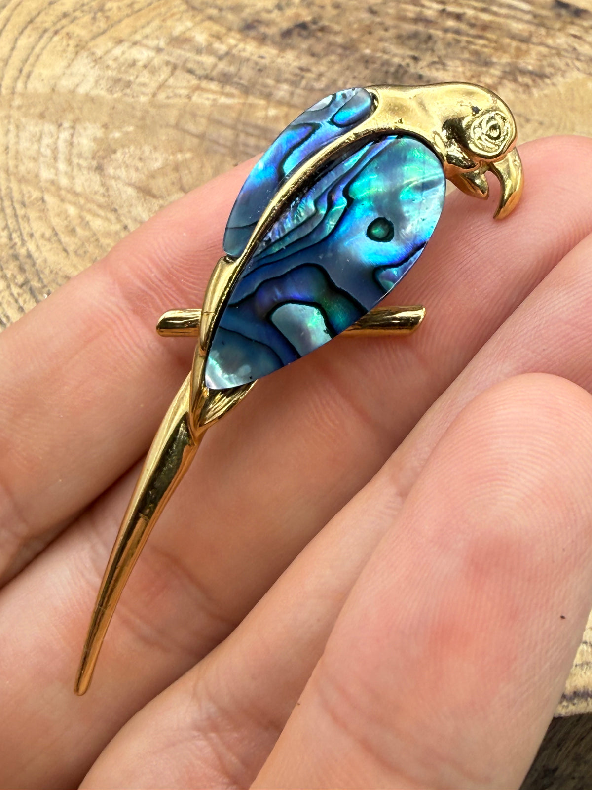 Vintage Parrot Brooch with Abalone Wings