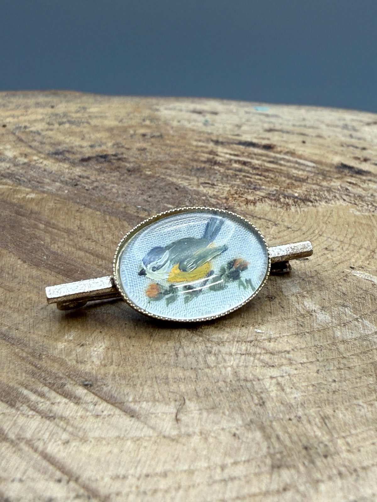 Vintage Hand Painted Blue Tit Bar Brooch
