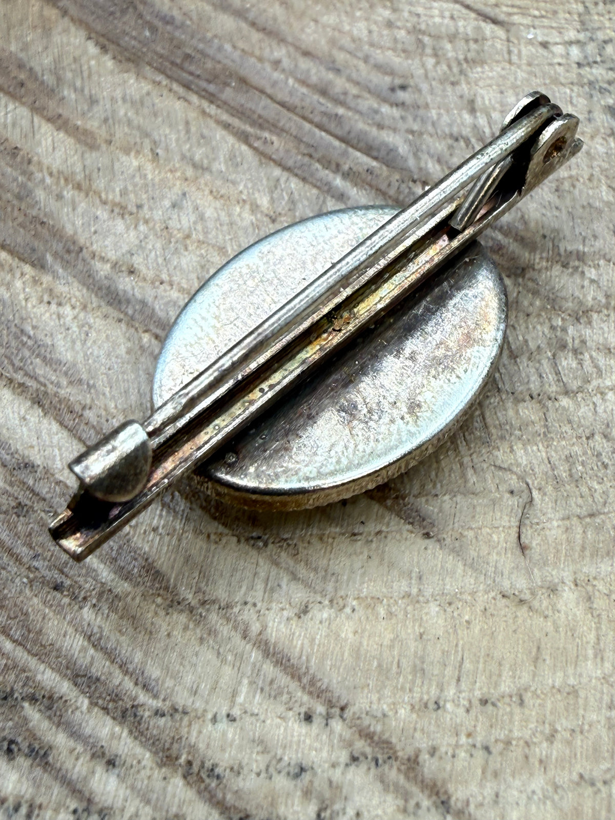 Vintage Hand Painted Blue Tit Bar Brooch