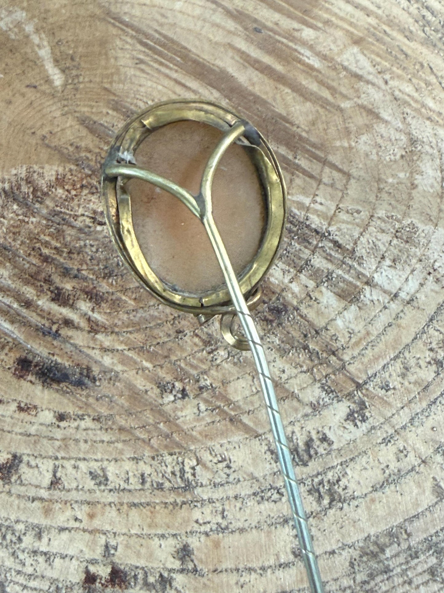 Antique Neoclassical Cameo Shell Stick Pin