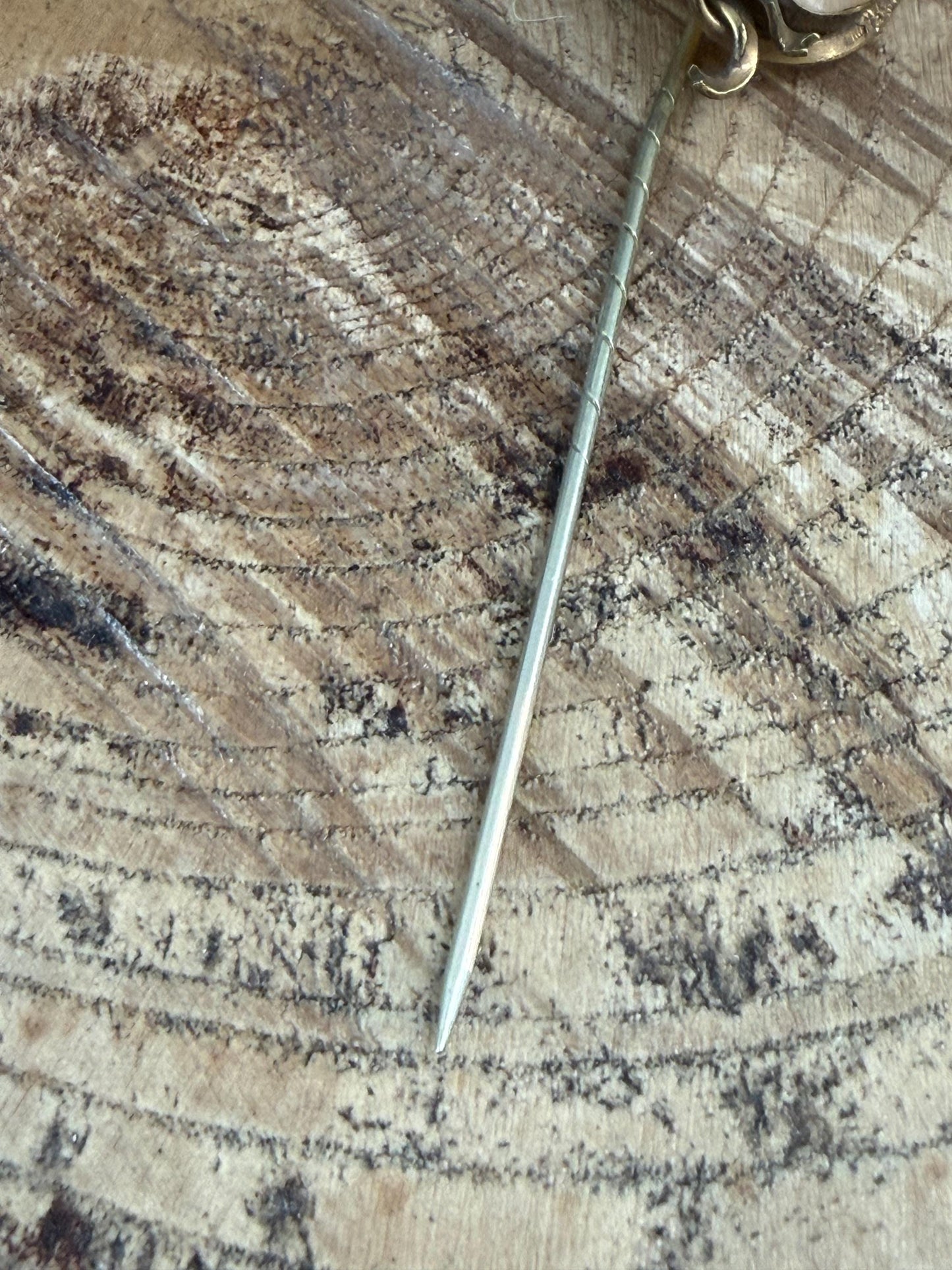 Antique Neoclassical Cameo Shell Stick Pin