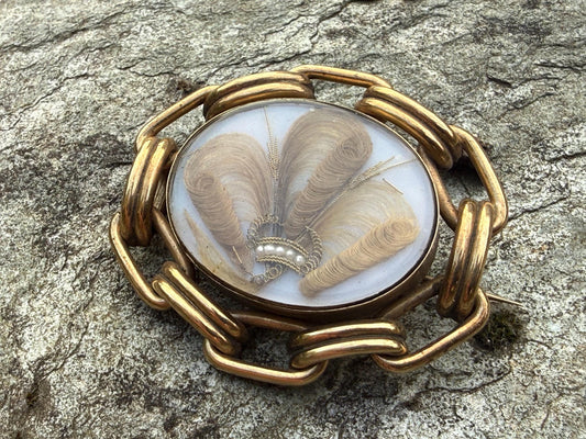 Scandalous Victorian Mourning Brooch, Aristocratic Gordon-Cumming