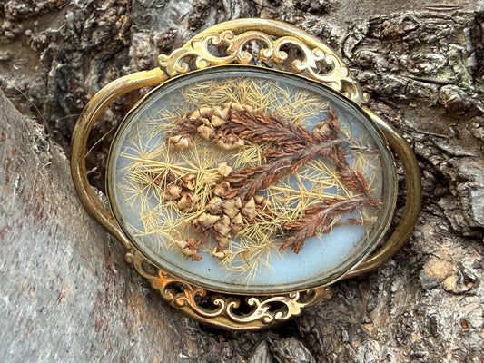 Victorian Dried Flowers Gilt Mourning Brooch