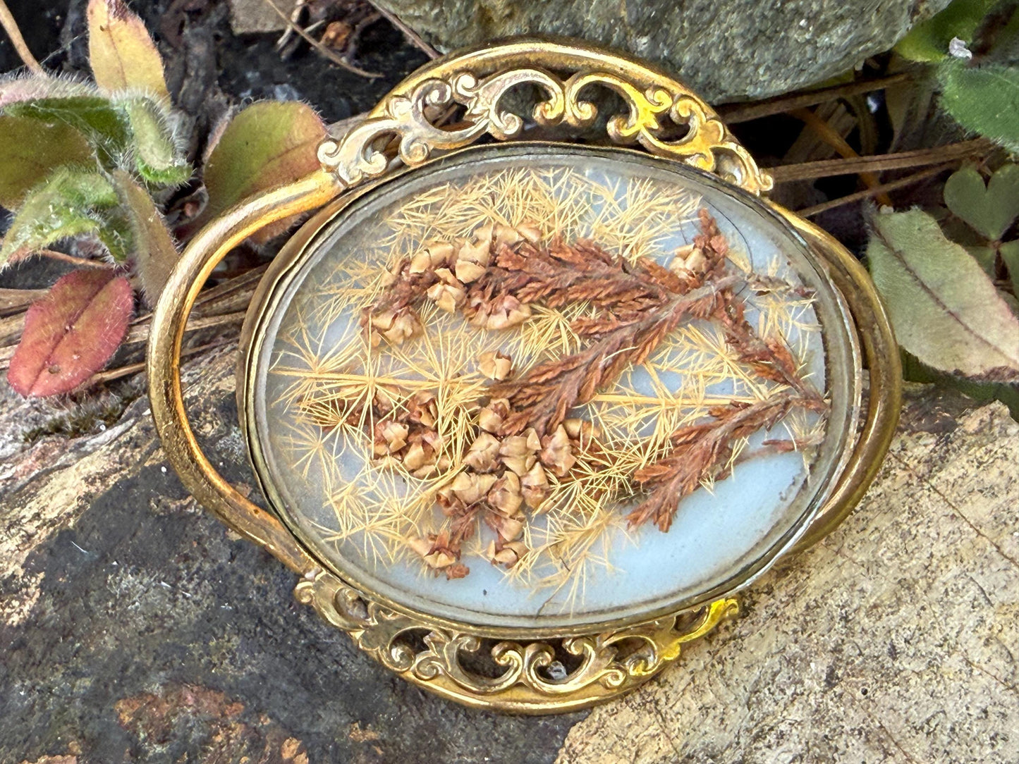 Victorian Dried Flowers Gilt Mourning Brooch