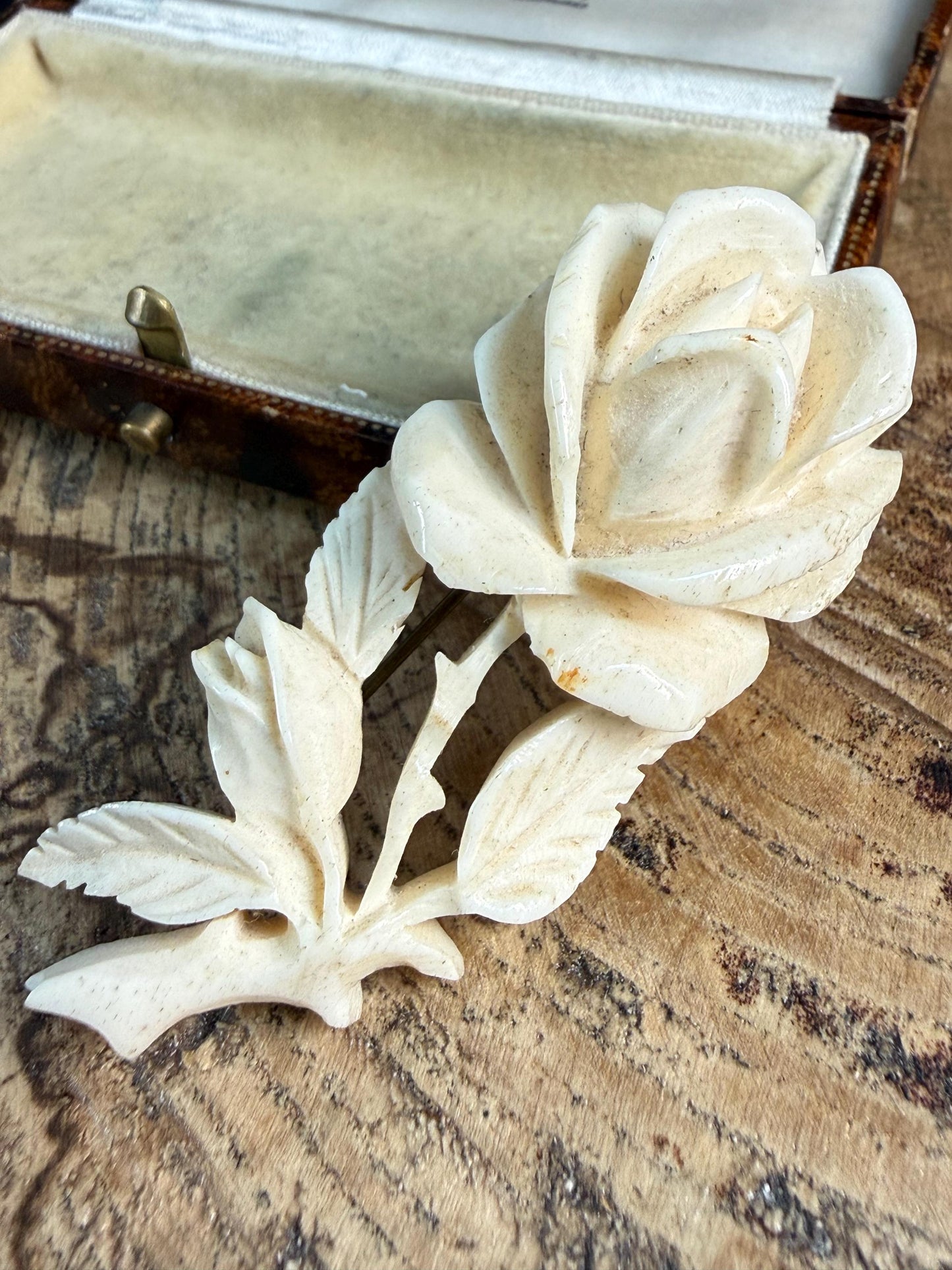 Antique Carved Bovine Bone Rose Brooch