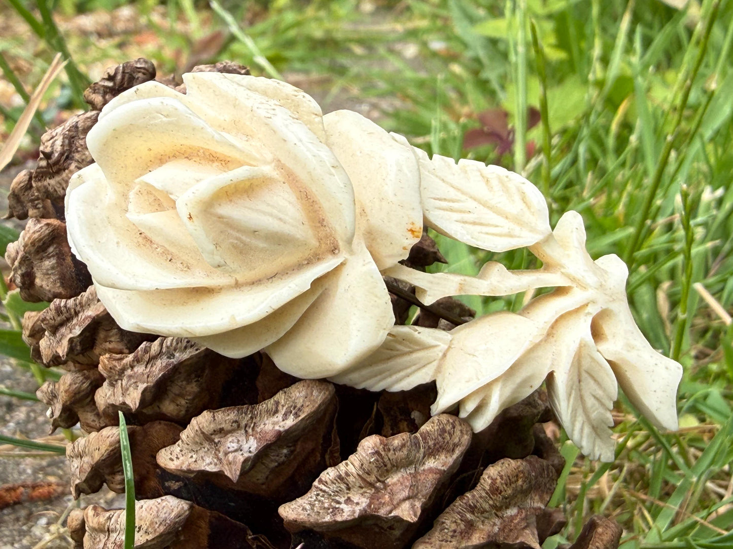 Antique Carved Bovine Bone Rose Brooch