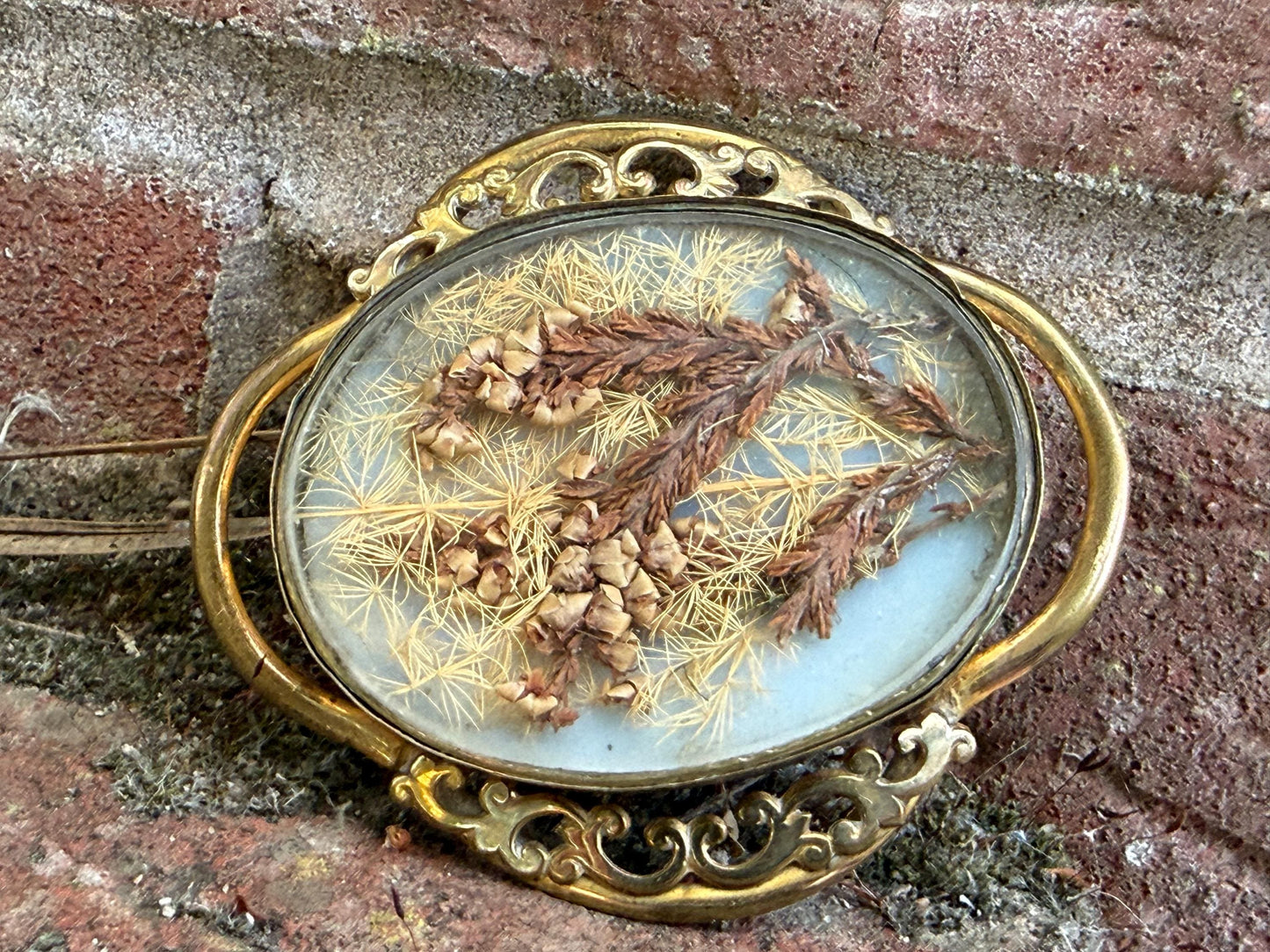 Victorian Dried Flowers Gilt Mourning Brooch