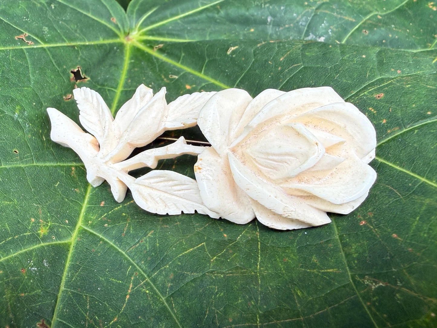 Antique Carved Bovine Bone Rose Brooch