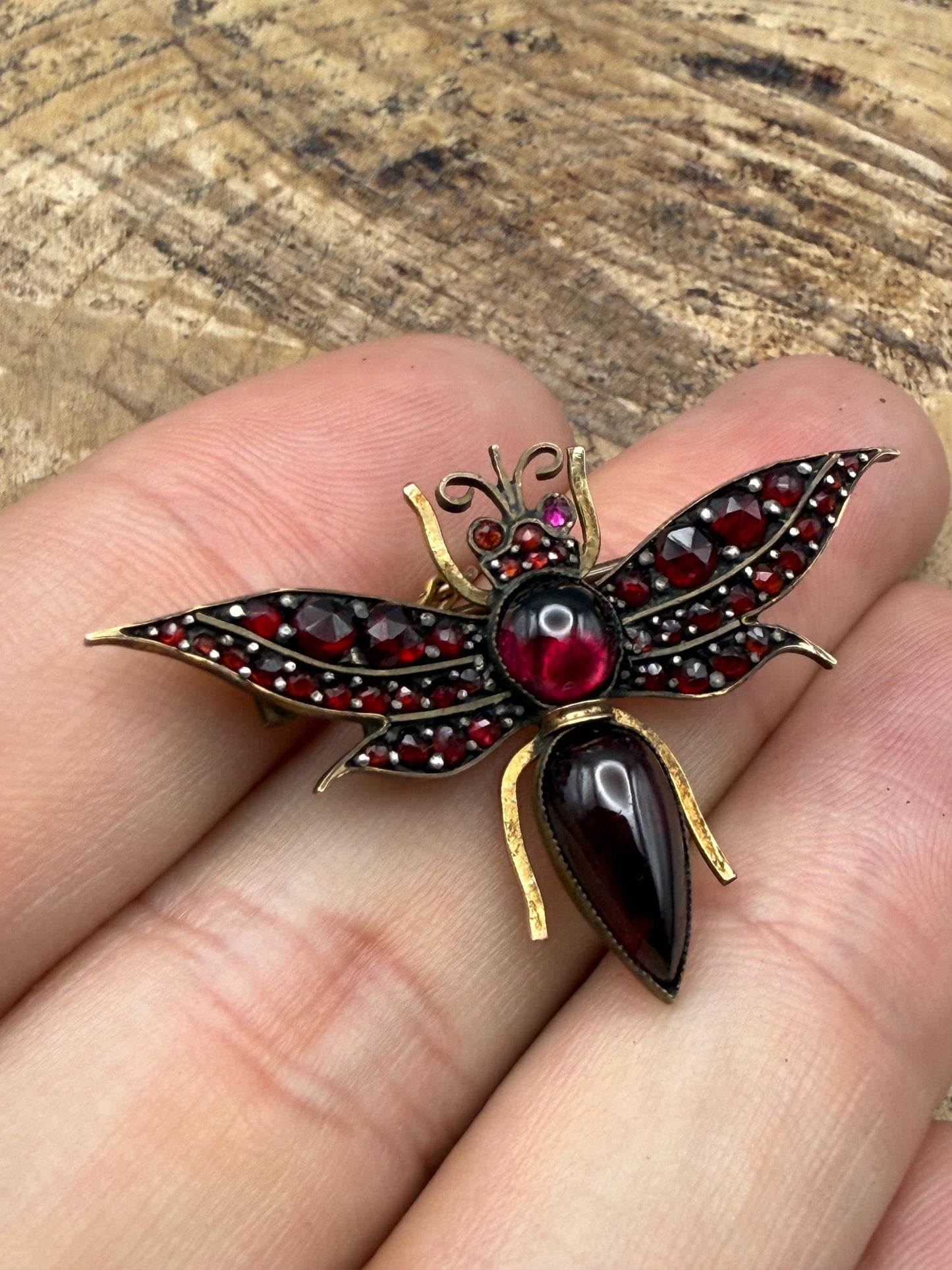 Antique Victorian Garnet Bug Brooch