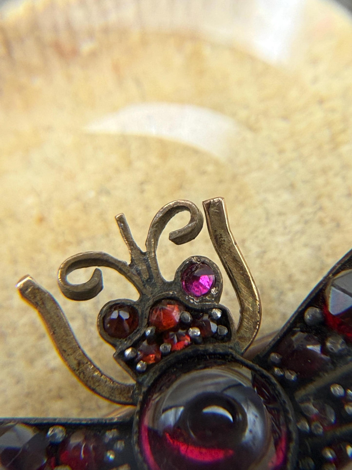 Antique Victorian Garnet Bug Brooch