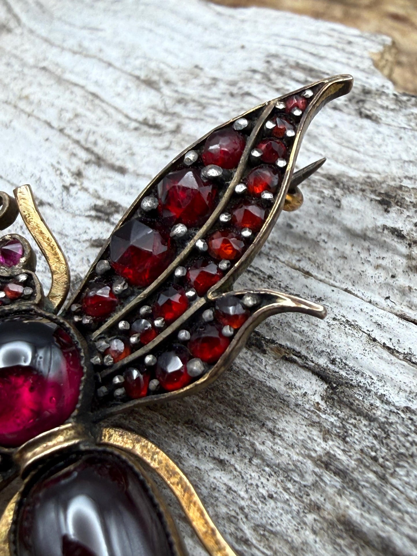 Antique Victorian Garnet Bug Brooch